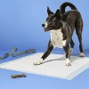 Dog Training Pads - XL - up&up™ - 2 of 4