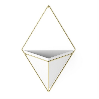 Trigg Wall Display Planter - Umbra
