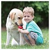 KONG Refillable Classic Chew Dog Toy - Red - 4 of 4