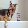 PetArmor Plus Shampoo for Dogs - 18 fl oz - 3 of 4