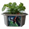 Toys By Nature: Dinosaur Domain - DIY Terrarium Kit, Prehistoric Plants & T-Rex - 4 of 4