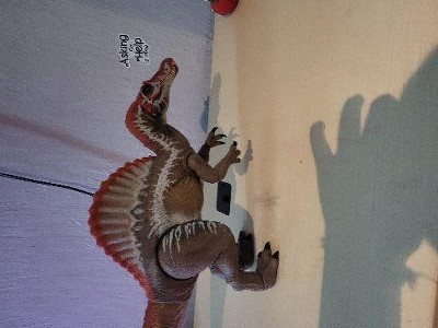 Guest review image 1 of 1, zoom in