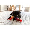 Quirky Kitty BBQ Besties Cat Plush Toy - 3 of 4